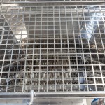 Sistema di scarico fusti con rompigrumi