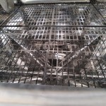 Grid Installed on Hopper - Internal View